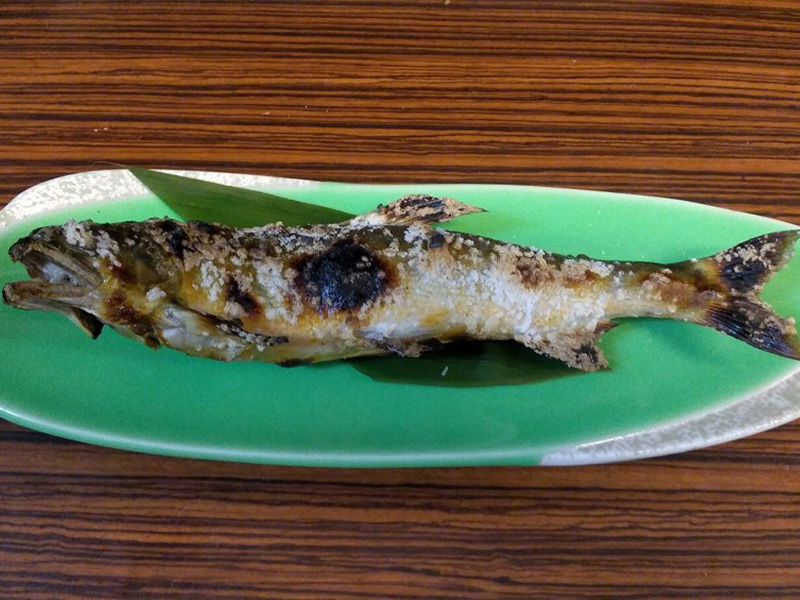 鮎の塩焼き